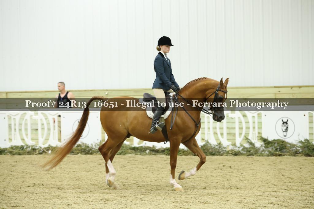 Proof 24R13_16651