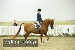 24R13_16651 proof