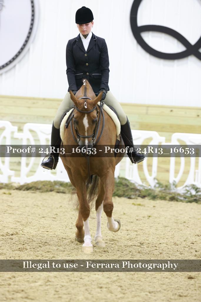 Proof 24R13_16653