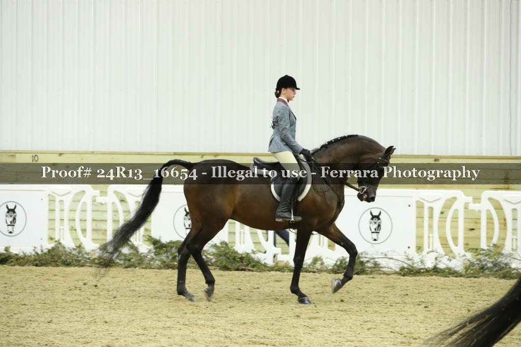 Proof 24R13_16654