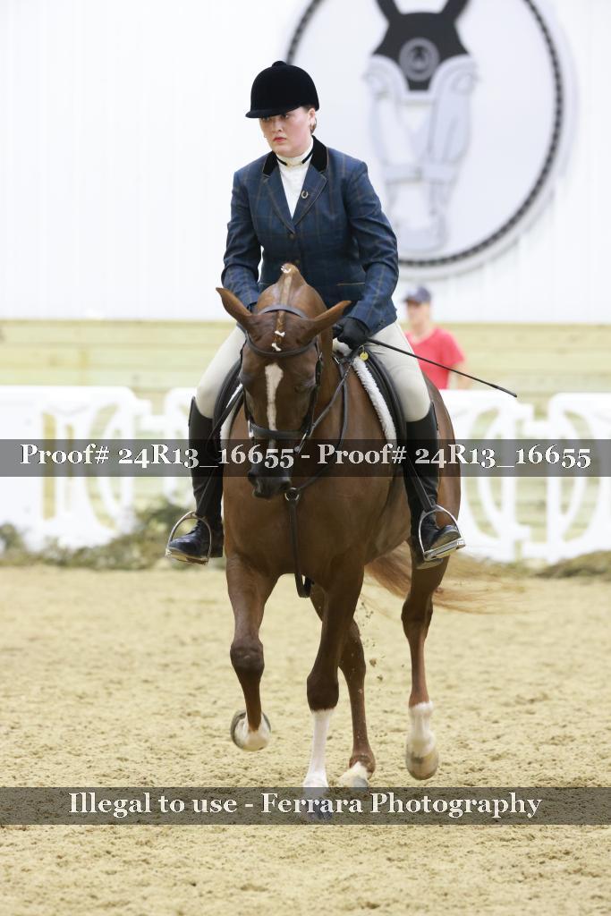 Proof 24R13_16655