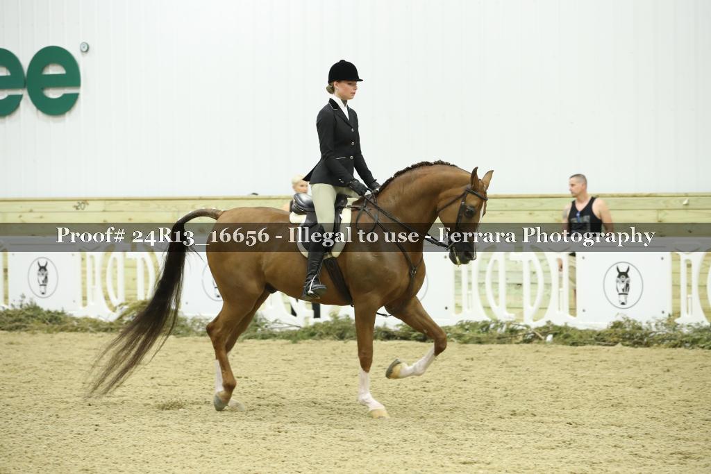 Proof 24R13_16656