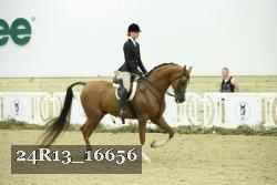 24R13_16656 proof