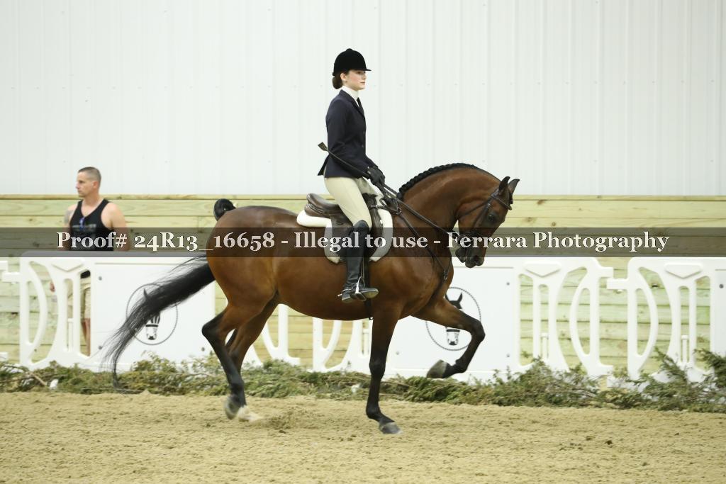 Proof 24R13_16658