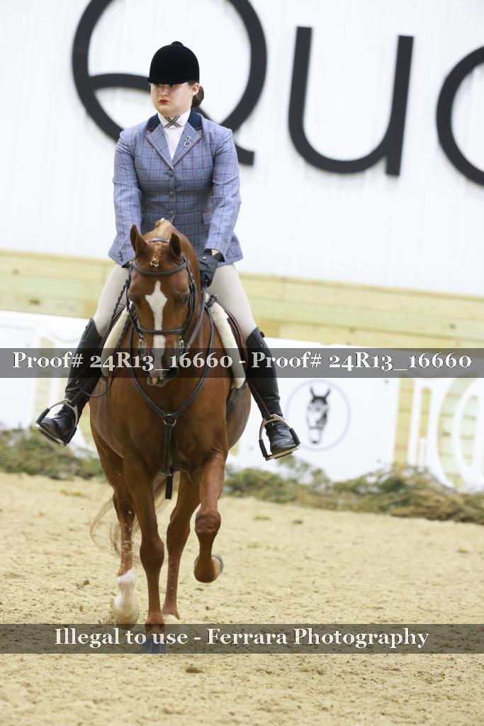Proof 24R13_16660