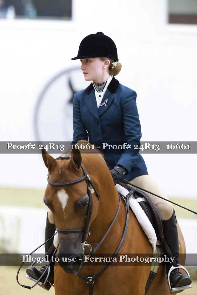 Proof 24R13_16661