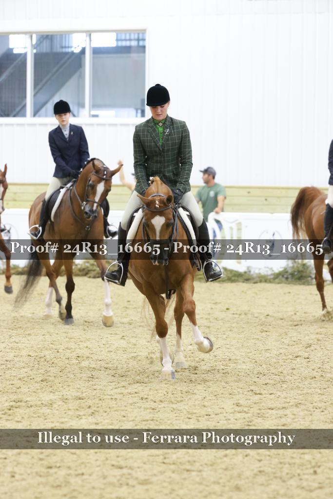 Proof 24R13_16665