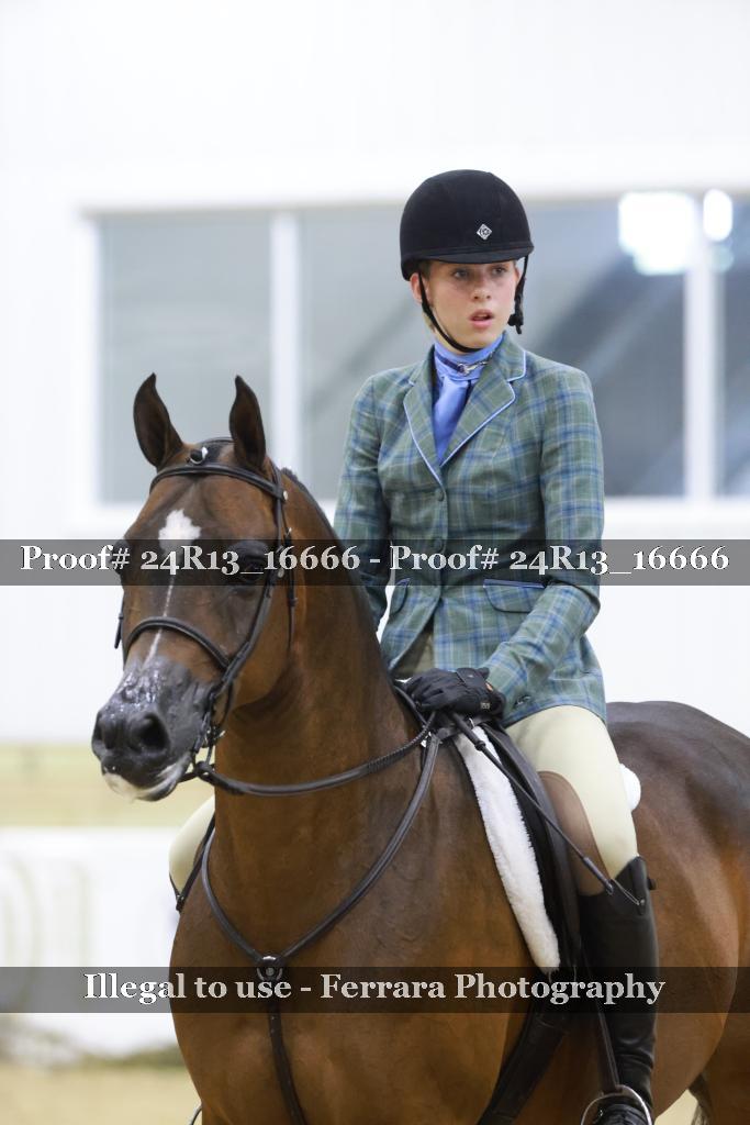 Proof 24R13_16666