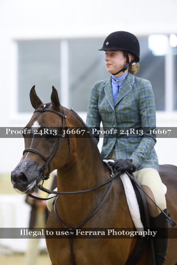 Proof 24R13_16667