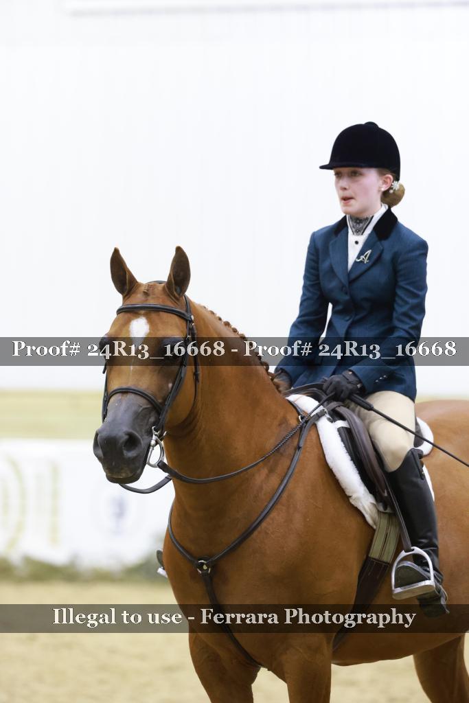 Proof 24R13_16668