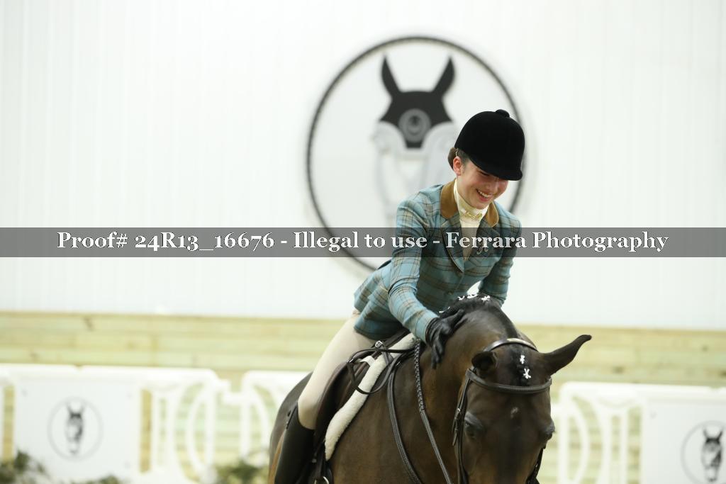 Proof 24R13_16676