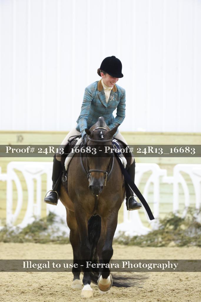 Proof 24R13_16683