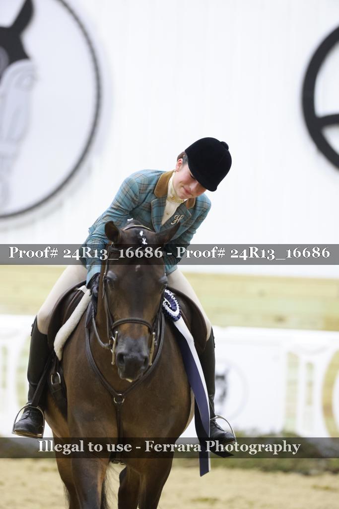 Proof 24R13_16686