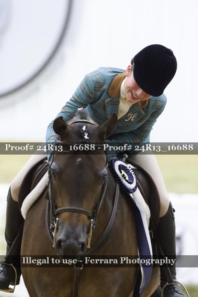 Proof 24R13_16688