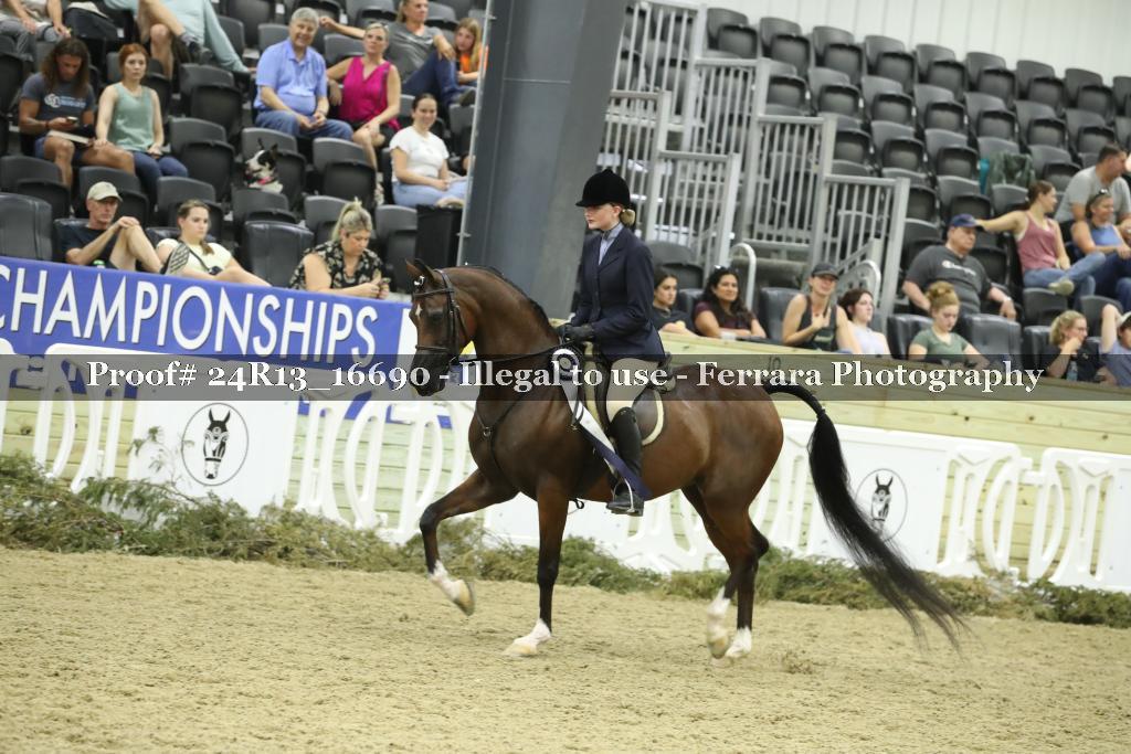 Proof 24R13_16690