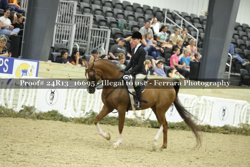 Proof 24R13_16695