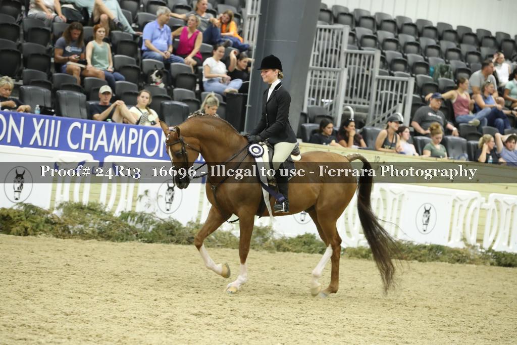 Proof 24R13_16696