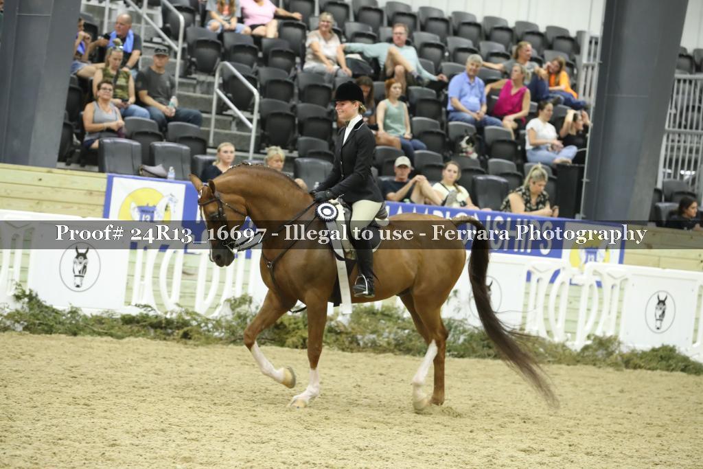 Proof 24R13_16697