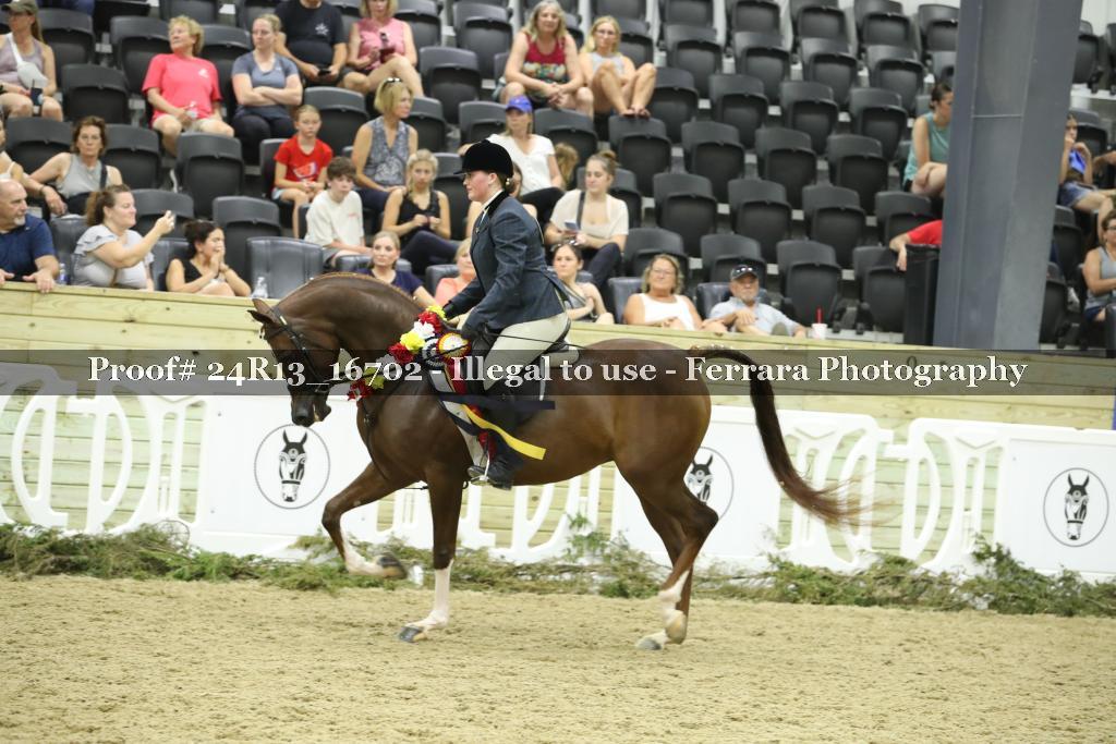 Proof 24R13_16702
