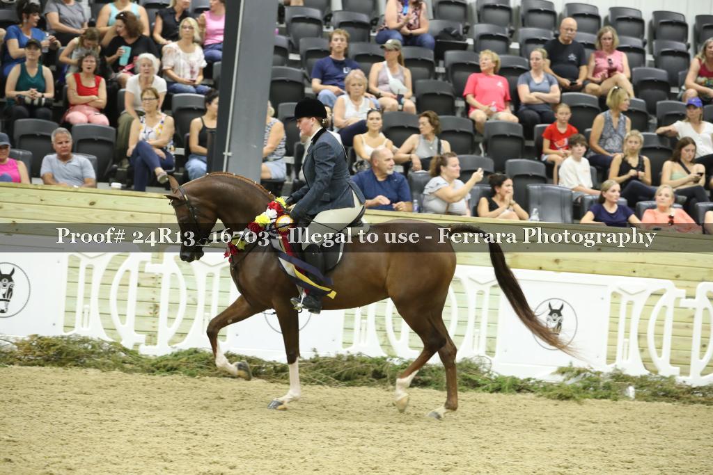 Proof 24R13_16703