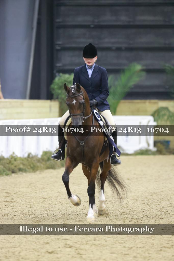 Proof 24R13_16704