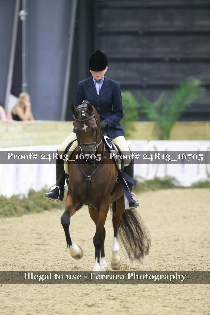 Proof 24R13_16705