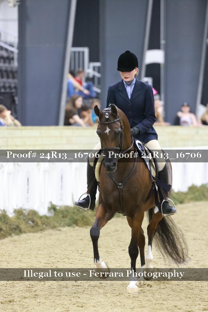 Proof 24R13_16706