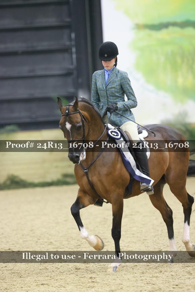 Proof 24R13_16708