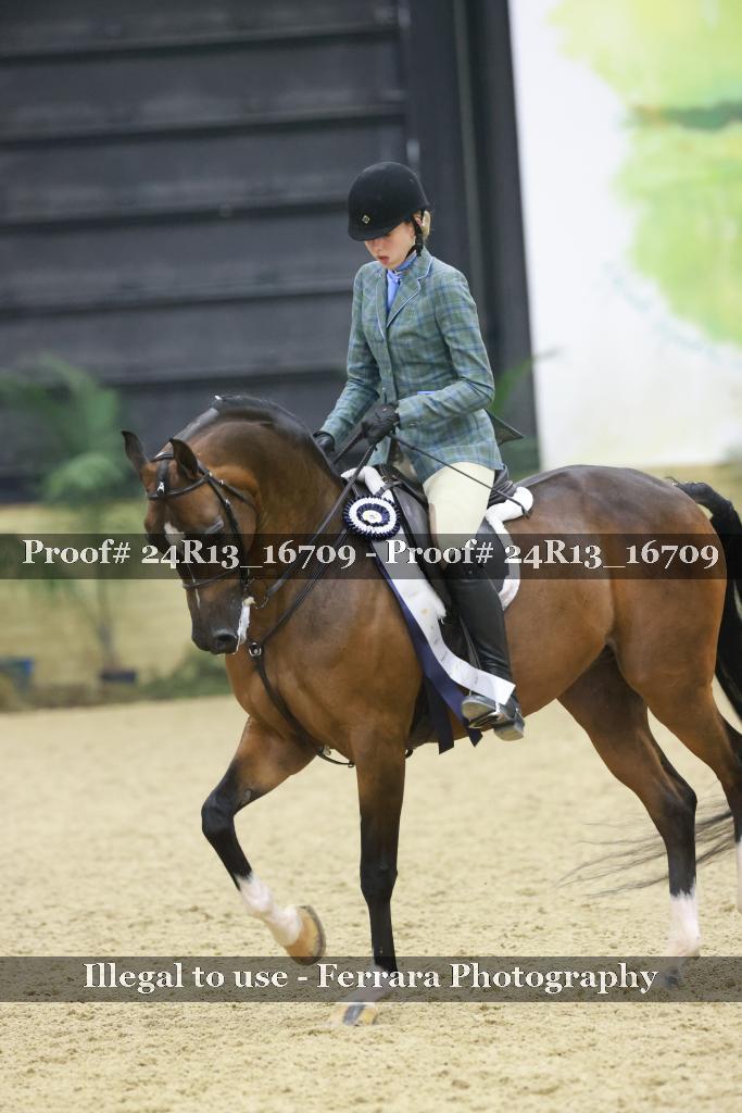 Proof 24R13_16709