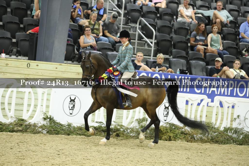Proof 24R13_16710