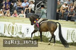 24R13_16715 proof