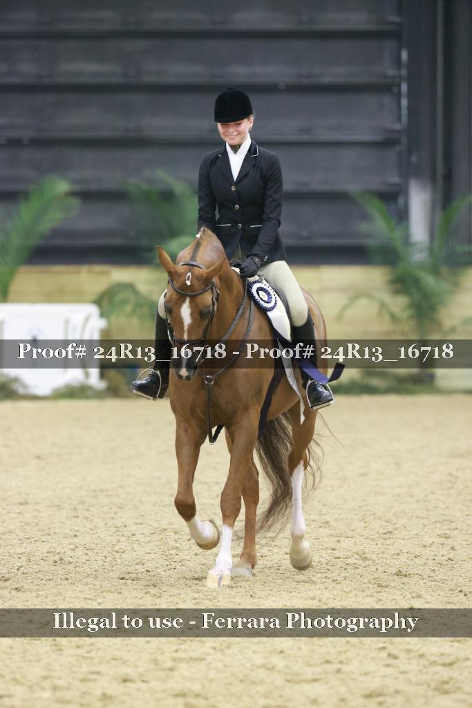 Proof 24R13_16718