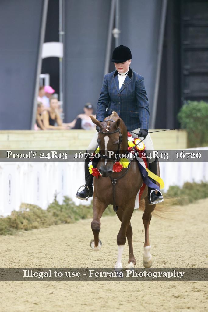 Proof 24R13_16720