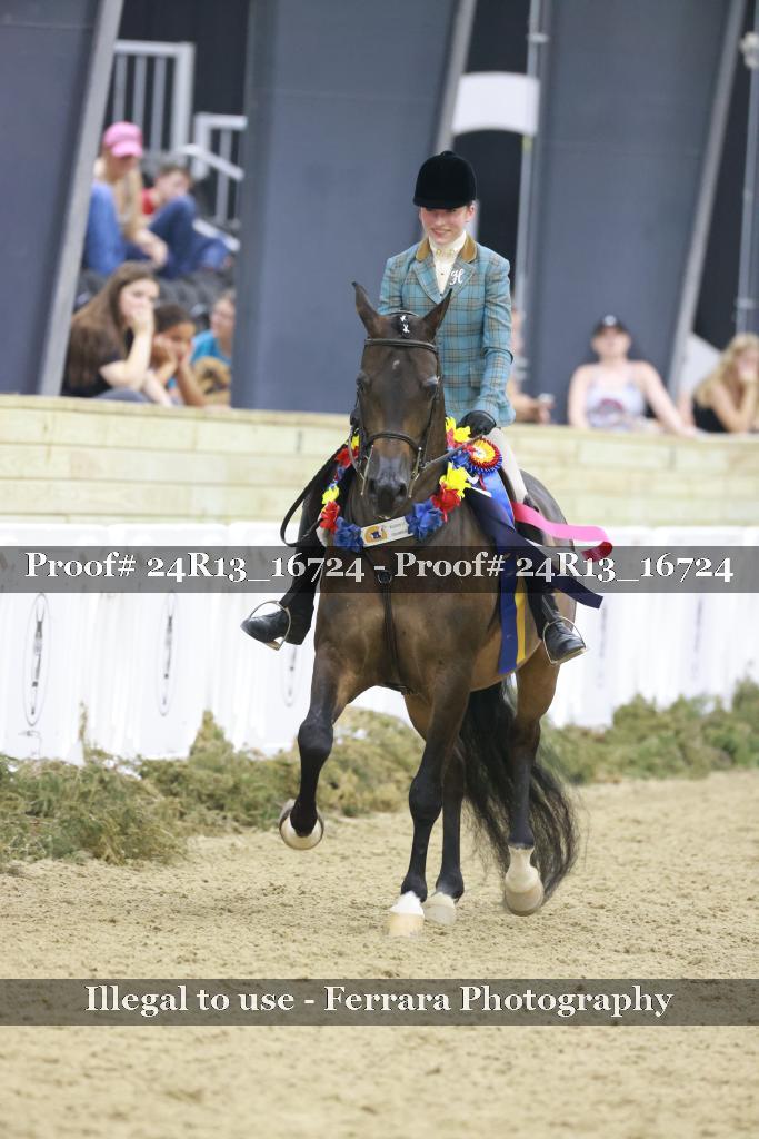 Proof 24R13_16724