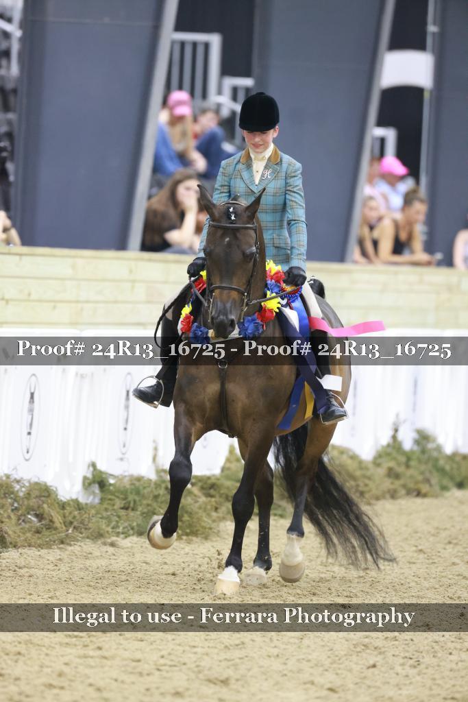 Proof 24R13_16725