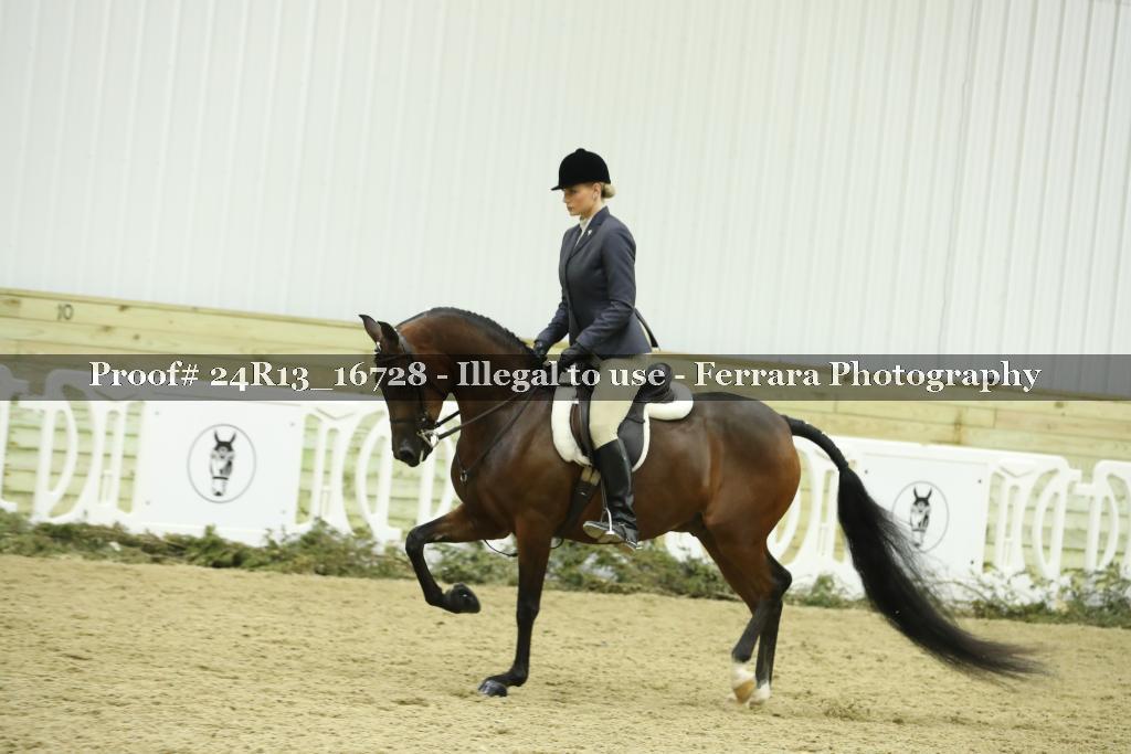 Proof 24R13_16728