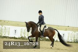 24R13_16728 proof