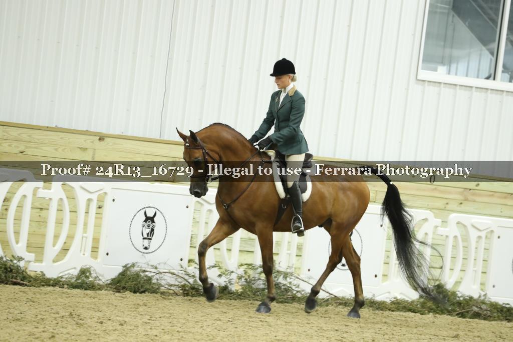 Proof 24R13_16729