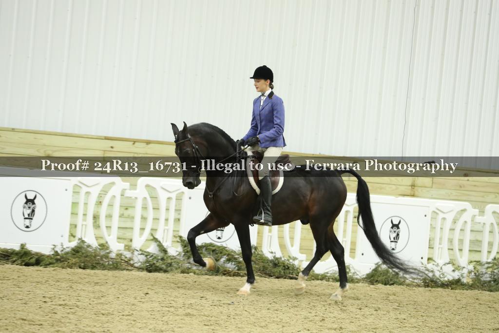 Proof 24R13_16731