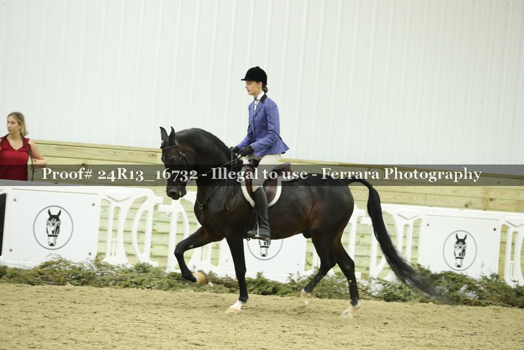 Proof 24R13_16732