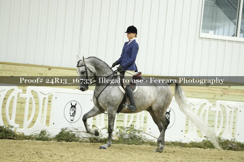 Proof 24R13_16733