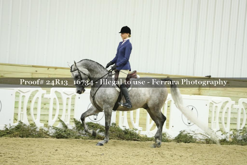 Proof 24R13_16734