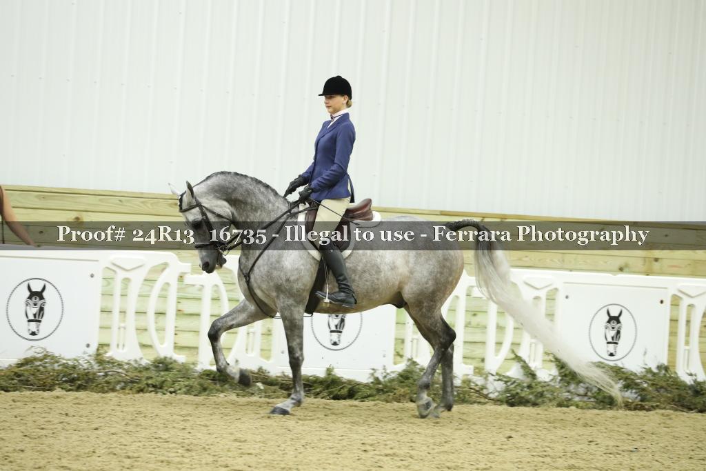 Proof 24R13_16735