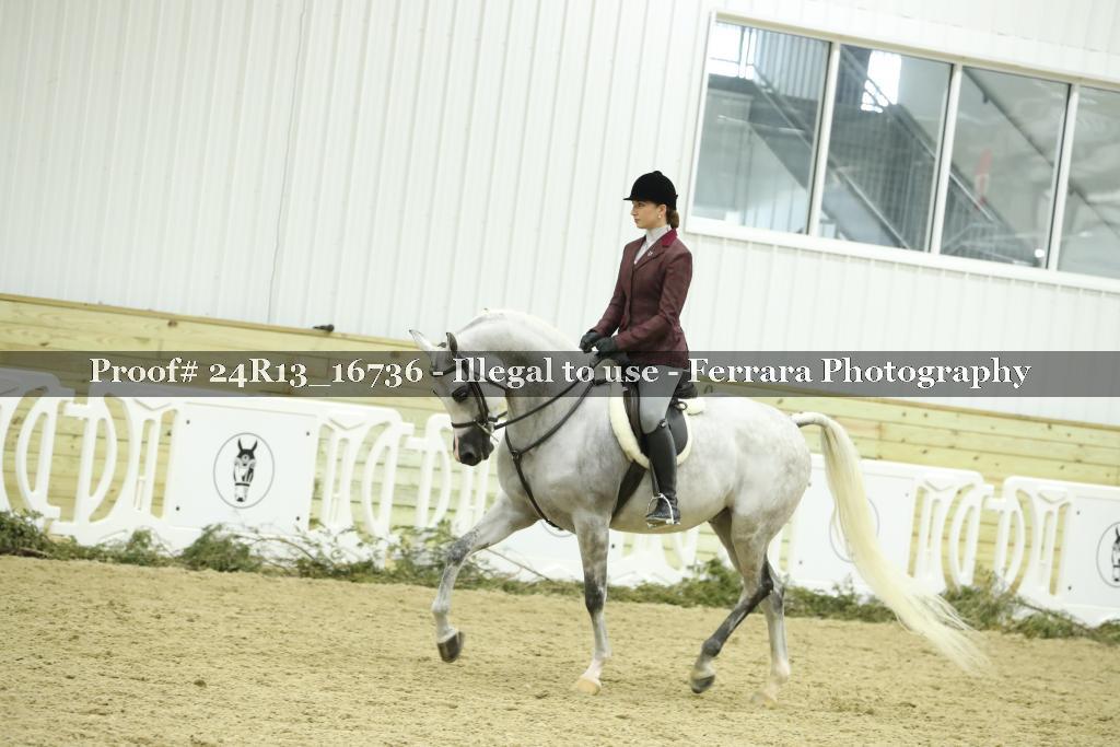Proof 24R13_16736