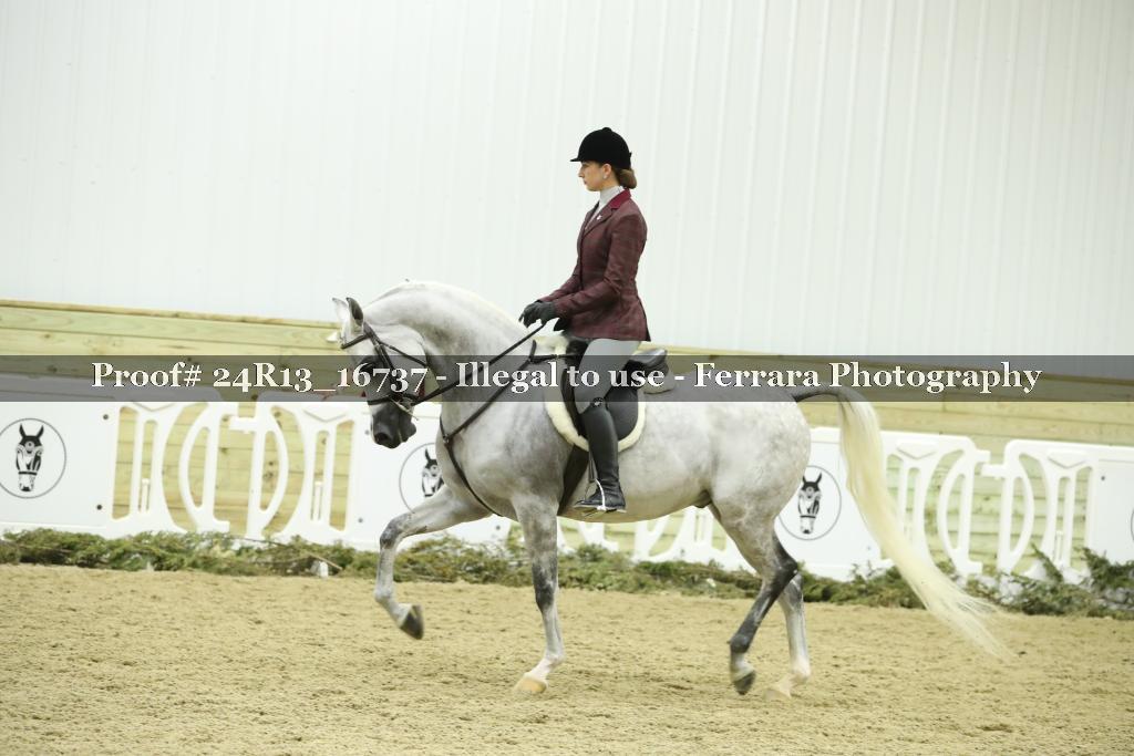 Proof 24R13_16737