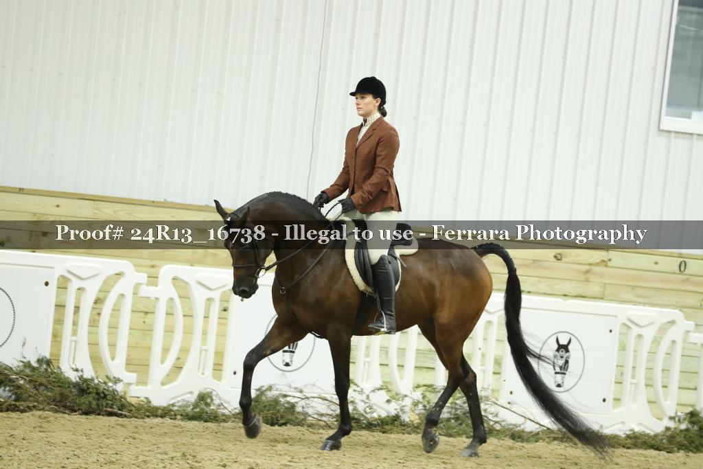 Proof 24R13_16738