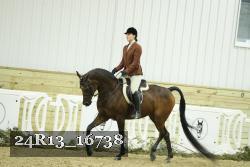 24R13_16738 proof
