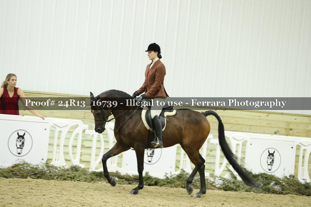 Proof 24R13_16739