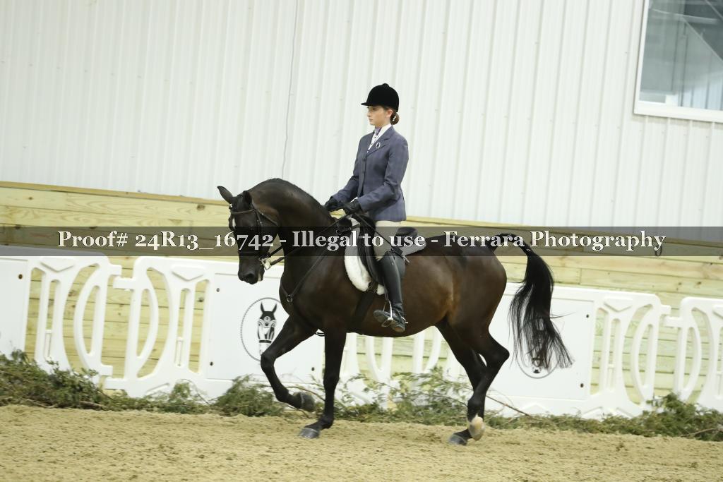 Proof 24R13_16742