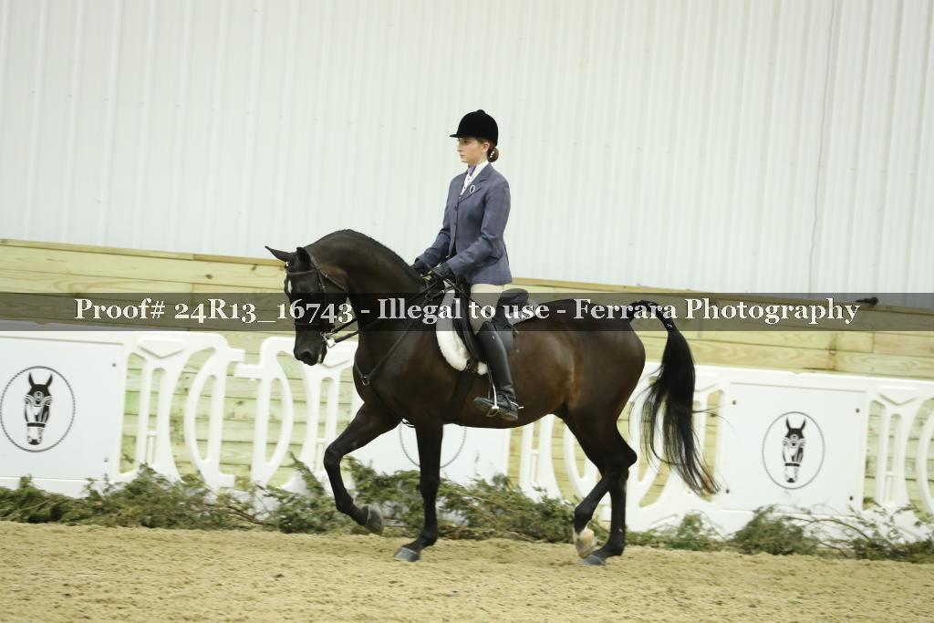 Proof 24R13_16743